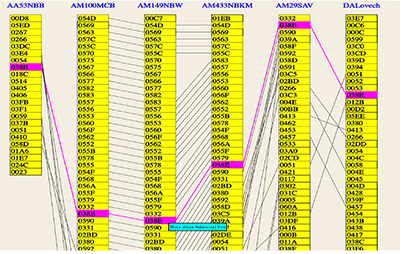 lectures_david-1